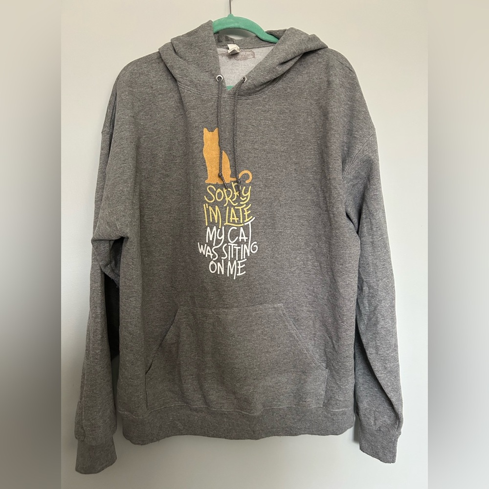 Cat Lady hoodie, funny cat hoodie